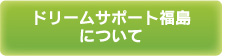 ドリームサポート福島について