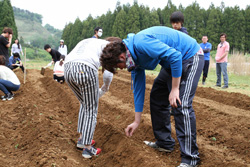 大学生向け